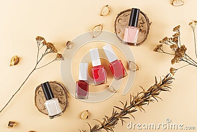 Bright and nude nail polishes on a neutral background among dry flowers. Stock Photo