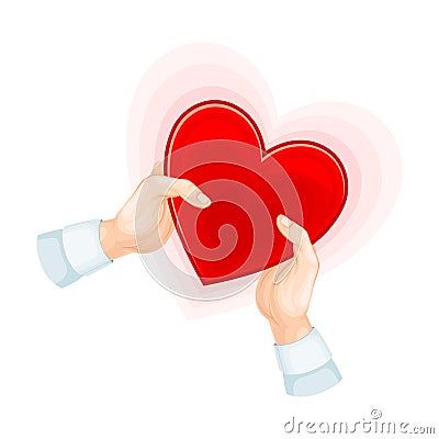 Bright Red Heart Shape in Hands as Love and Fondness Symbol Vector Illustration Vector Illustration