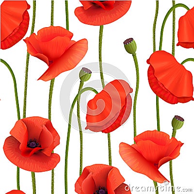 Bright red Poppies Seamless pattern. flowers, pods, Stems. Wallpaper picture. Remembrance Day. Vector Illustration