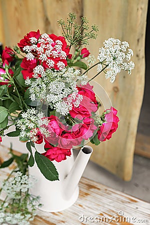 Bright red roses in a white graceful watering can in the garden. Flowers stand next to the fence. Summer collection Stock Photo