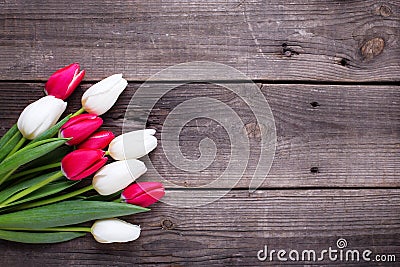 Bright red and white tulips flowers on aged wooden background Stock Photo