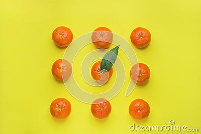 Bright Ripe Tangerines Arranged in Rows in Square One with Green Leaf in Middle. Yellow Background. Food Knolling. Styled Creative Stock Photo