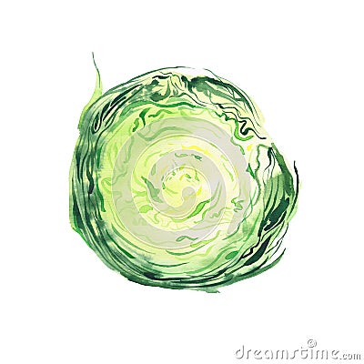 Bright ripe tasty delicious beautiful green agriculture summer salad cabbage chopped and sliced watercolor Cartoon Illustration