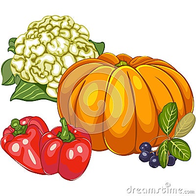 Bright Ripen Vegetables Vector Illustration