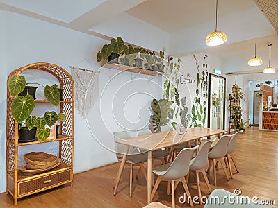 Bright room with hardwood floors and a wooden table and chairs adorned with lush green plants. Editorial Stock Photo