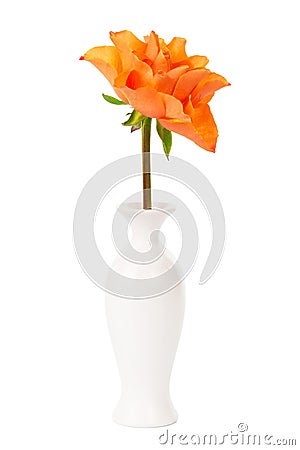 Bright rose in vase Stock Photo