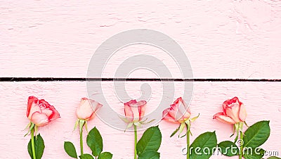 Bright roses on pink wood background Stock Photo