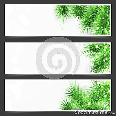 Bright shimmering green fir tree branches flyer Vector Illustration