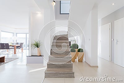 Bright spacious detached house Stock Photo