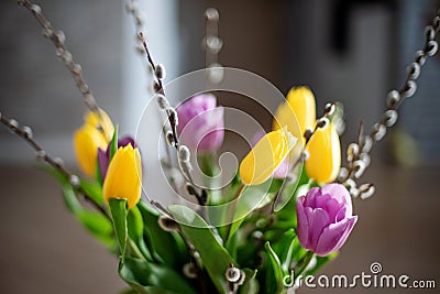 Bright spring bouquet of yellow and purple tulips and branches pussy willows. Easter arrangement of fresh flowers Stock Photo