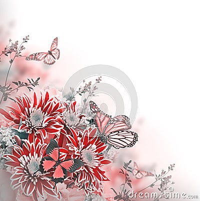 Bright spring chrysanthemum Stock Photo