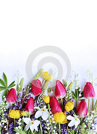 Bright spring flower arrangement. Lilac lupines, crimson tulips, white daffodils, and yellow flowers of trolius europaeus on a whi Stock Photo