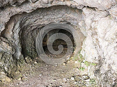 Bright stone cave enter with column and tree branch inside front view Stock Photo