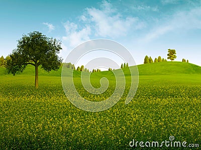 Bright summer afternoon Stock Photo