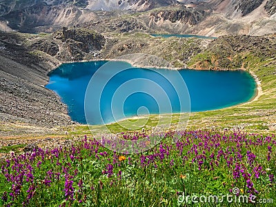 Bright summer azure mountain lake among black rocks. Blue alpine lake among sunlit black green rocky flower hills in highlands Stock Photo