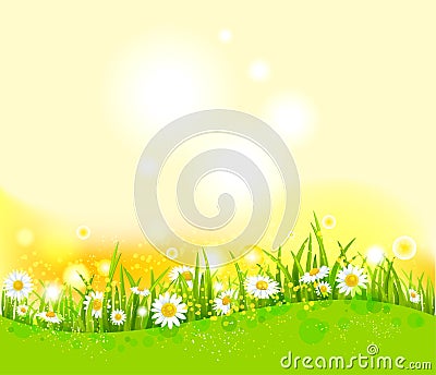 Bright summer background Vector Illustration
