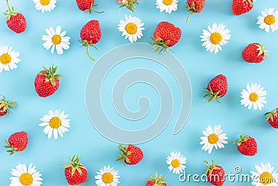 Bright summer frame made with natural chamomile flowers and strawberry on blue background with copy space for your design. Top Stock Photo