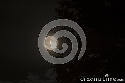 Bright summer moon Stock Photo