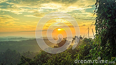 Bright sunlight and hilly forest Stock Photo