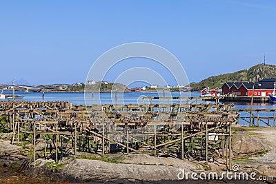 Bright sunlight illuminates the cod drying racks in Reine, with traditional rorbu cabins and serene waters in the background, Stock Photo