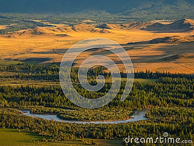 Bright sunny autumn landscape with winding river and sunlit gold valley with green fir trees on mountainside under cloudy sky. Stock Photo