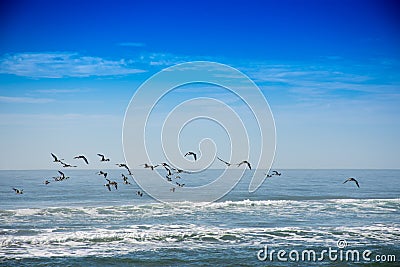 Praia de ItapirubÃ¡ - Imbituba - Santa Catarina - Brasil Stock Photo