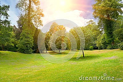 Bright sunny day in park Stock Photo