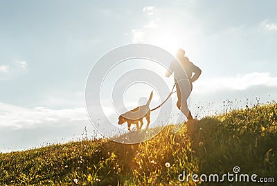 Bright sunny Morning Canicross exercises. Man runs with his beagle dog Stock Photo