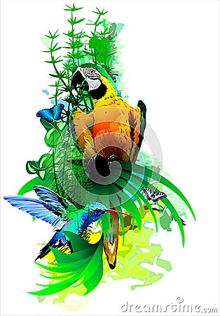 Bright tropical birds on a white background. Vector Illustration