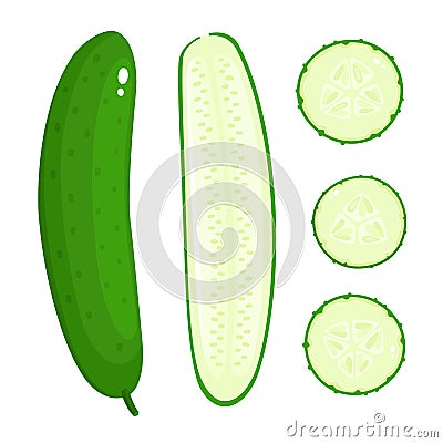 Bright vector collection of colorful different cucumber isolated on white Vector Illustration