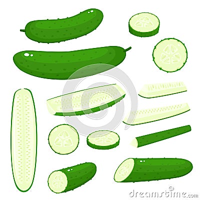 Bright vector collection of colorful different cucumber isolated on white Vector Illustration