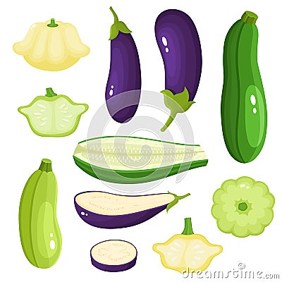 Bright vector illustration of colorful eggplant, zucchini, patisson Vector Illustration