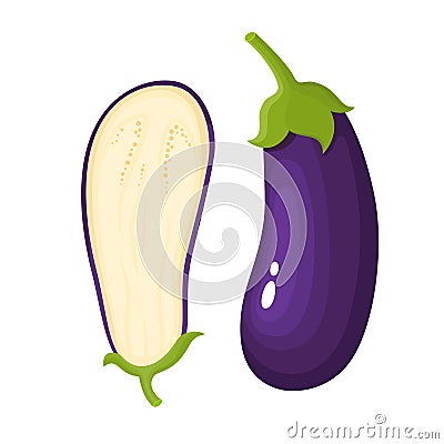 Bright vector illustration of fresh eggplants isolated on white. Vector Illustration