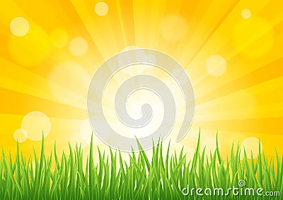 Bright vector sun effect with green grass field Vector Illustration