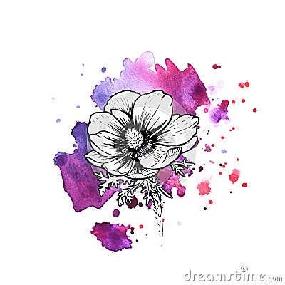 A bright violet formless watercolor blot. Poppy ink flower line graphic Cartoon Illustration