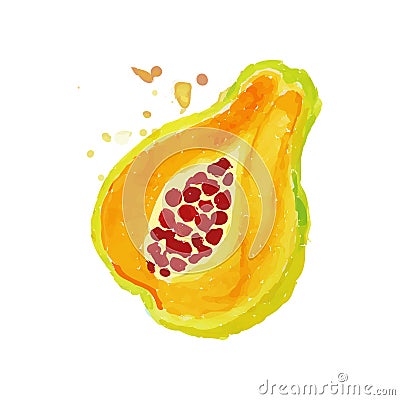 Bright watercolor painting of piece papaya pawpaw . Tropical fruit concept. Vegetarian nutrition. Organic and tasty food Vector Illustration