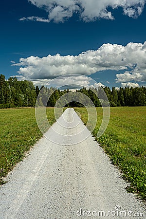 White dirt road leading in to the green forest in bright sunshine Stock Photo