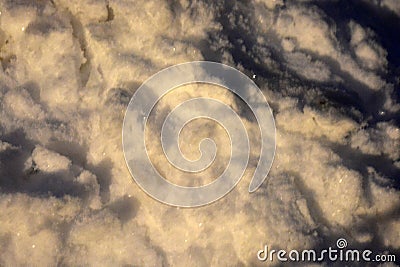 Bright white and ligh snow lies on the ground in the city of Dnipro, Ukraine. Stock Photo