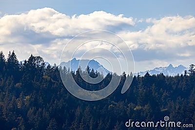 bright white puffy clouds floating in a blue sky Stock Photo