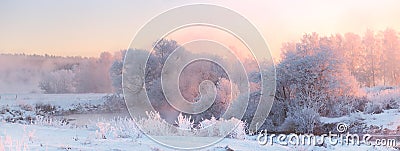 Bright winter sunrise. White frosty trees in Christmas morning. Stock Photo