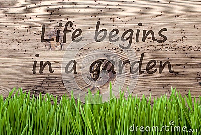 Bright Wooden Background, Gras, Quote Life Begins In A Garden Stock Photo