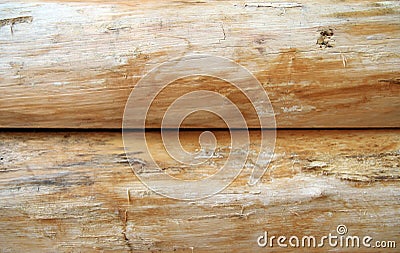 Bright wooden logs Stock Photo