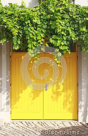 Bright yellow entrance door with a vine plant Stock Photo
