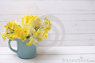 Bright yellow spring daffodils flowers in cup Stock Photo