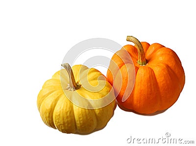 Bright Yellow and Vibrant Orange Color Ripe Pumpkins Stock Photo