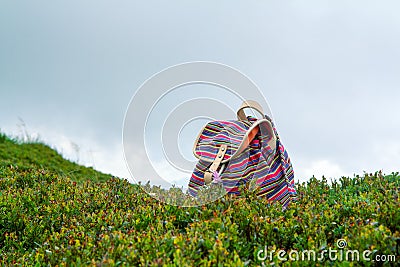Bright young girl`s backpack in the grass blueberries in the Norway mountains, vacation concept Stock Photo