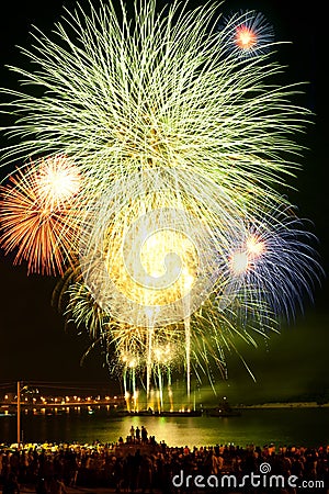 Brightly colorful fireworks in the night sky Stock Photo