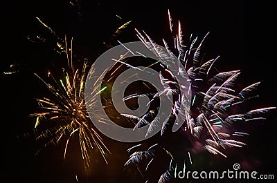 Brightly colorful fireworks and salute Stock Photo