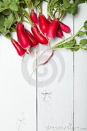 Brightly colorful radish america bunch. Copy space for text Stock Photo