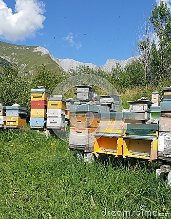 Brightly coloured beehives in pastoral setting Stock Photo
